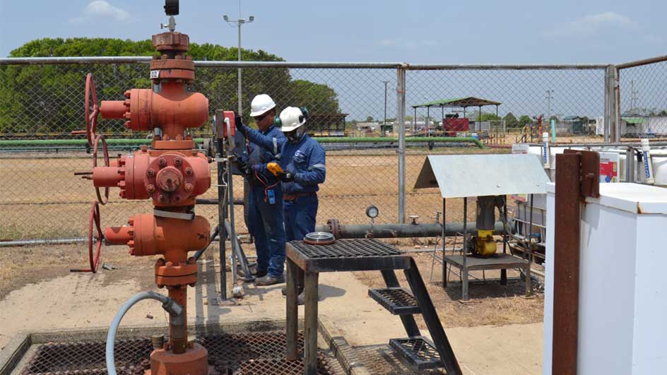 Desarrollo de ingeniería de procesos - Equipo técnico especializado